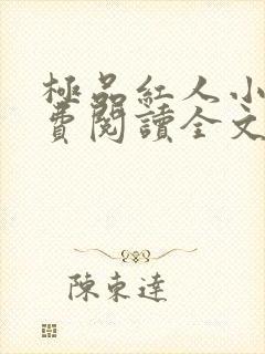 极品红人小说免费阅读全文