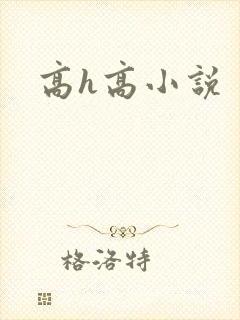 高h高小说