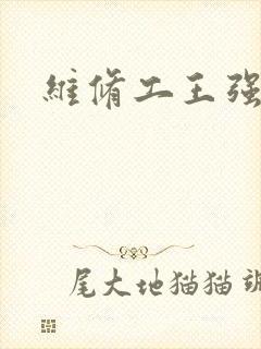 维修工王强张婷封面