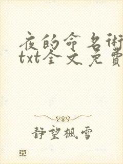 夜的命名术小说txt全文免费下载