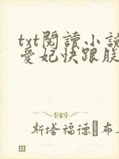 txt阅读小说爱妃快跟朕回家