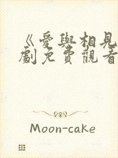 《爱与相见》短剧免费观看