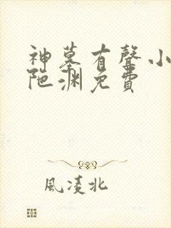 神墓有声小说头陀渊免费