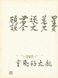 顾君逐叶星北小说全文免费阅读