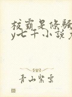 校霸是条骚狗by七千小说免费阅读封面