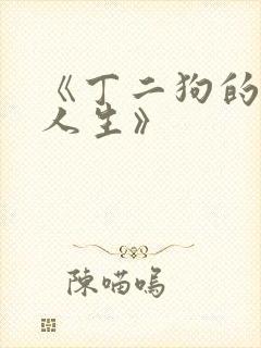 《丁二狗的逍遥人生》