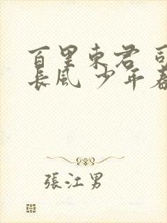 百里东君 司空长风 少年春风醉白马封面