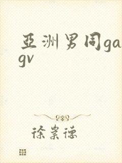 亚洲男同gaygv