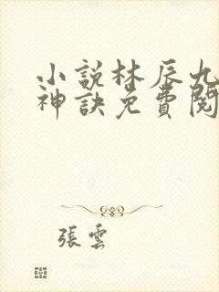 小说林辰九天斩神诀免费阅读封面