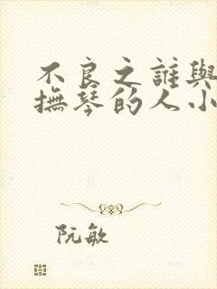 不良之谁与争锋抚琴的人小说