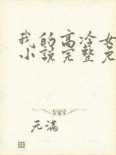 我的高冷女总裁小说完整免费