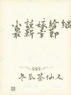 小说嫁给继兄后最新章节封面