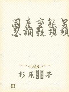 国产变态另类残忍调教视频