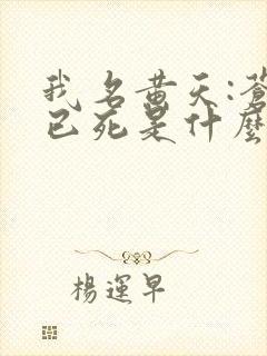 我名黄天:苍天已死是什么鬼?笔趣阁