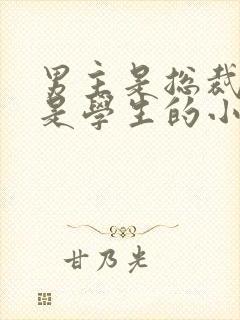 男主是总裁女主是学生的小说