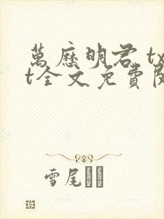 万历明君 txt全文免费阅读