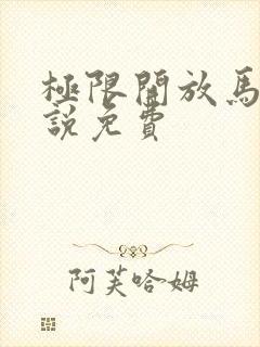 极限开放马眼小说免费