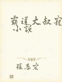 霸道大叔宠甜妻 小说