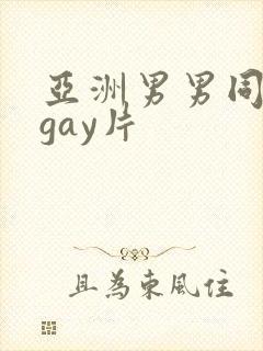 亚洲男男同性恋gay片