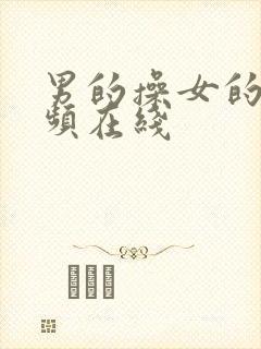 男的操女的的视频在线封面