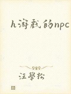 h游戏的npc封面