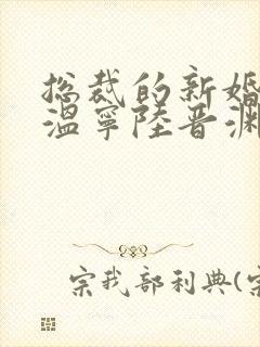 总裁的新婚罪妻温宁陆晋渊