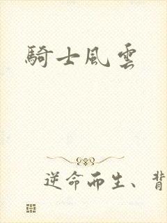 骑士风云