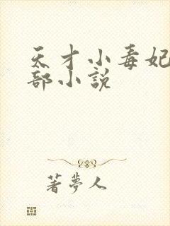 天才小毒妃第三部小说