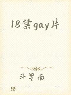 18禁gay片封面