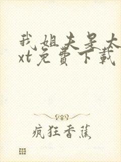 我姐夫是太子txt免费下载封面