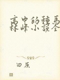 高中的种马校草林峰小说全文免费阅