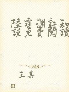 陆霆渊许知夏小说免费阅读最新章节封面