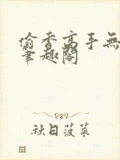 偷香高手无删减笔趣阁