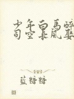 少年白马醉春风司空长风娶了谁