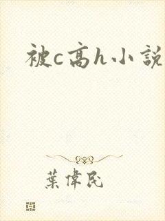 被c高h小说