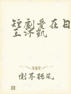 短剧爱在日落前王沐凯