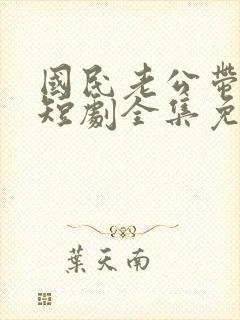 国民老公带回家短剧全集免费观看