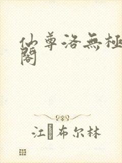 仙尊洛无极笔趣阁