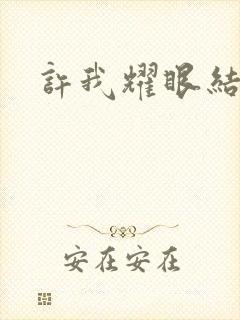 许我耀眼结局封面