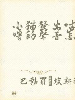 小猫发出咕噜咕噜的声音怎么回事