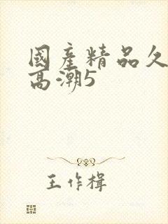 国产精品久久久高潮5封面