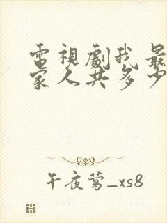 电视剧我最爱的家人共多少集封面