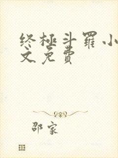 终极斗罗小说全文免费