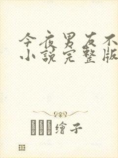 今夜男友不在家小说完整版免费阅读