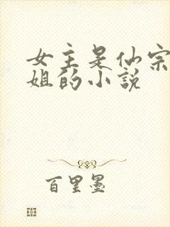 女主是仙宗大师姐的小说封面