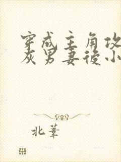 穿成主角攻的炮灰男妻后小说