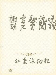 谢云驰沈晚梨小说免费阅读