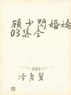 顾少闪婚娇妻103集全封面