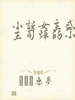 小说女主盛妩男主司烨的小说