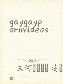 gaygaypornvideos